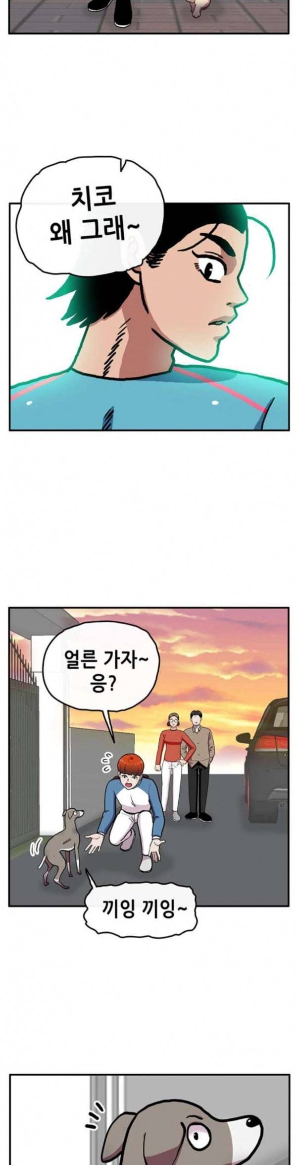 만물의 영장 32화 유기견 치코와 파이 3 28