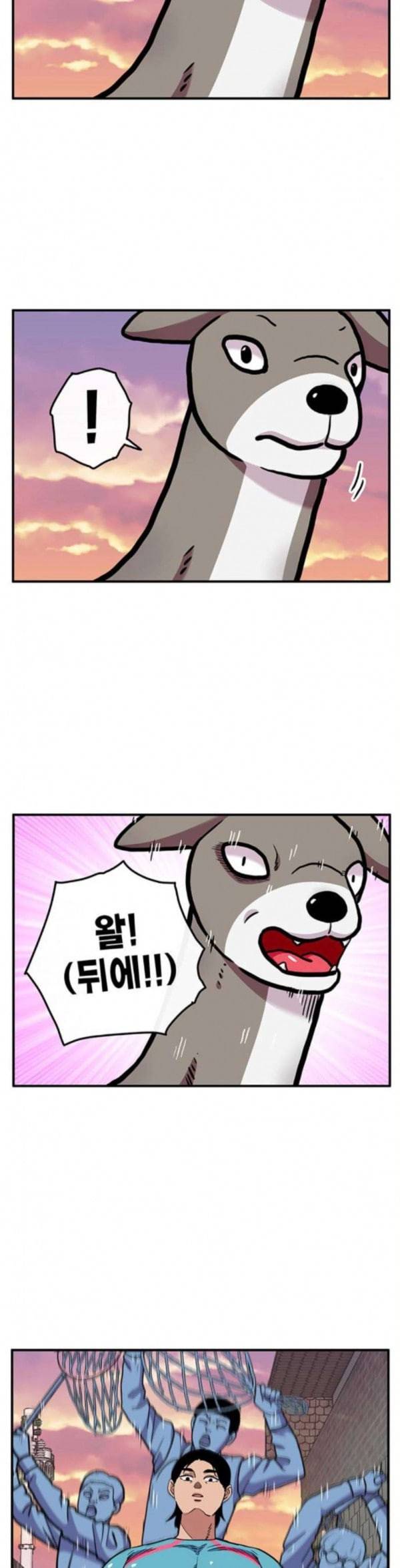만물의 영장 32화 유기견 치코와 파이 3 30