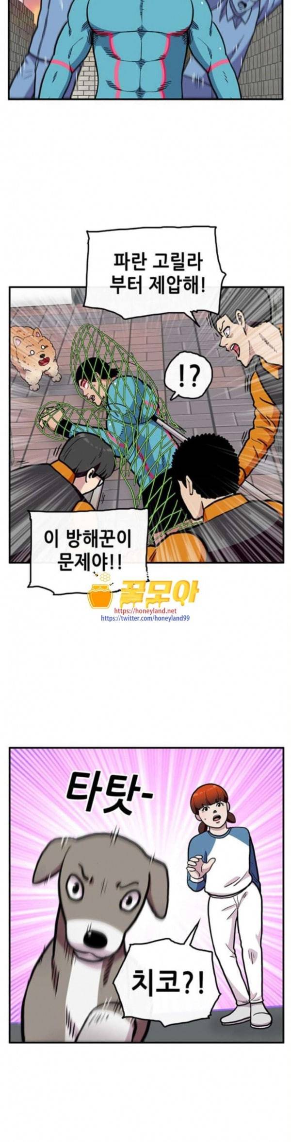 만물의 영장 32화 유기견 치코와 파이 3 31