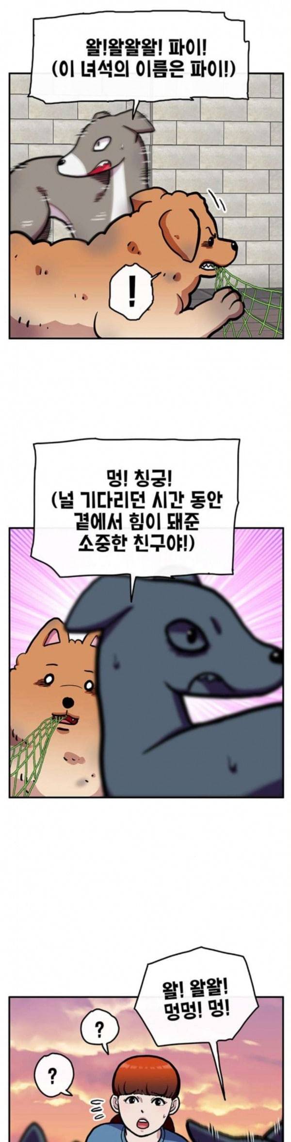 만물의 영장 32화 유기견 치코와 파이 3 32