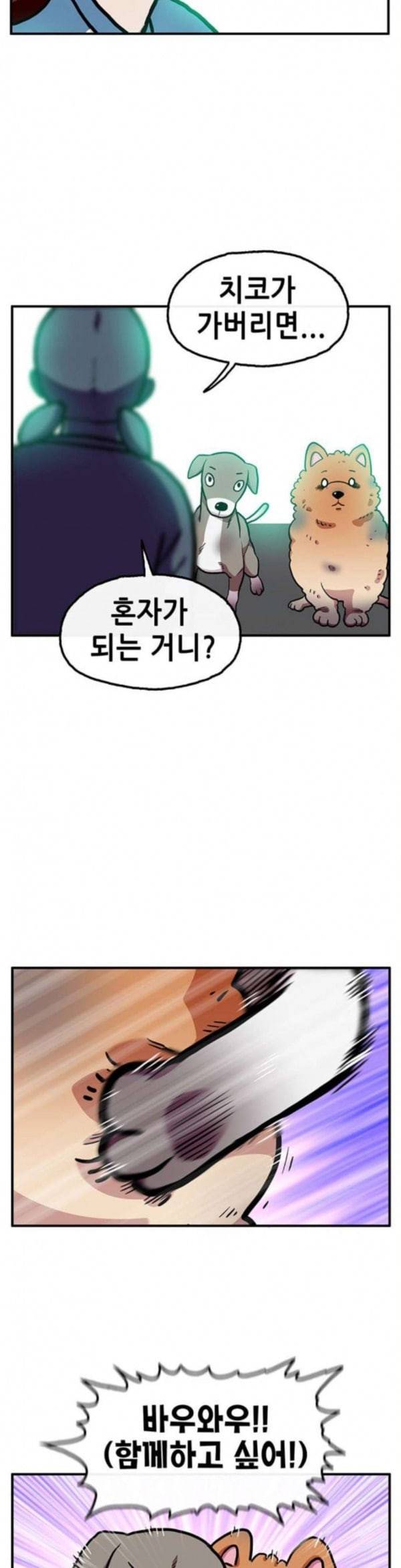 만물의 영장 32화 유기견 치코와 파이 3 37