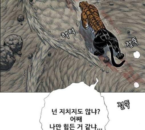 호랑이형님 2부 168화 그날 거인들의 사투 7 49