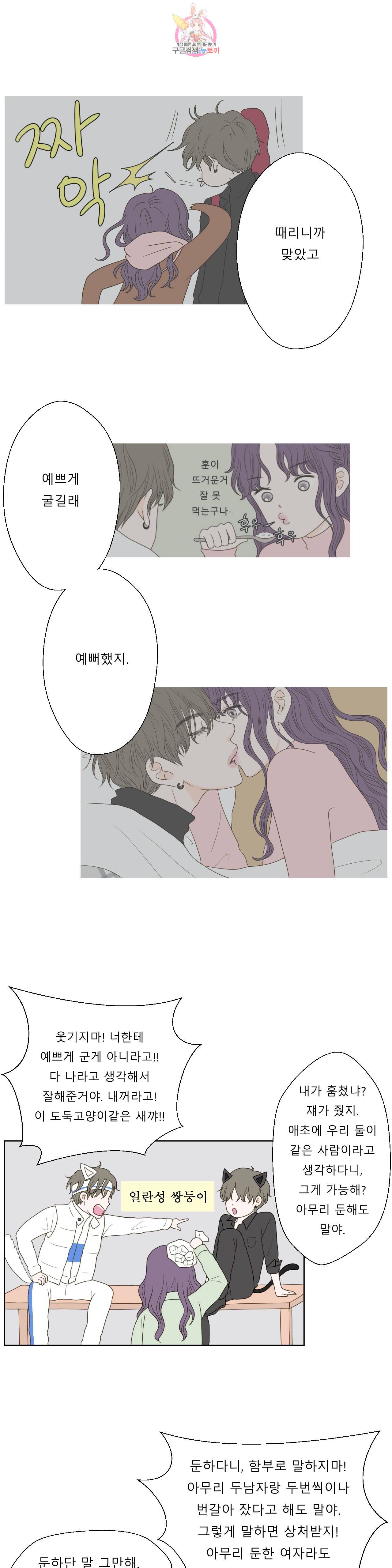 허니 베드톡 49화 개같은 남자 고양이같은 남자 (4) 2