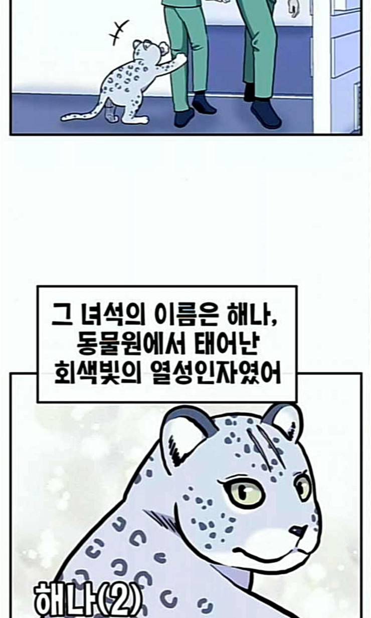 만물의 영장 43화 표범 탈출사건 2 36