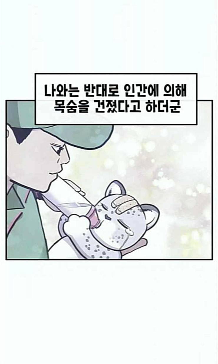 만물의 영장 43화 표범 탈출사건 2 38