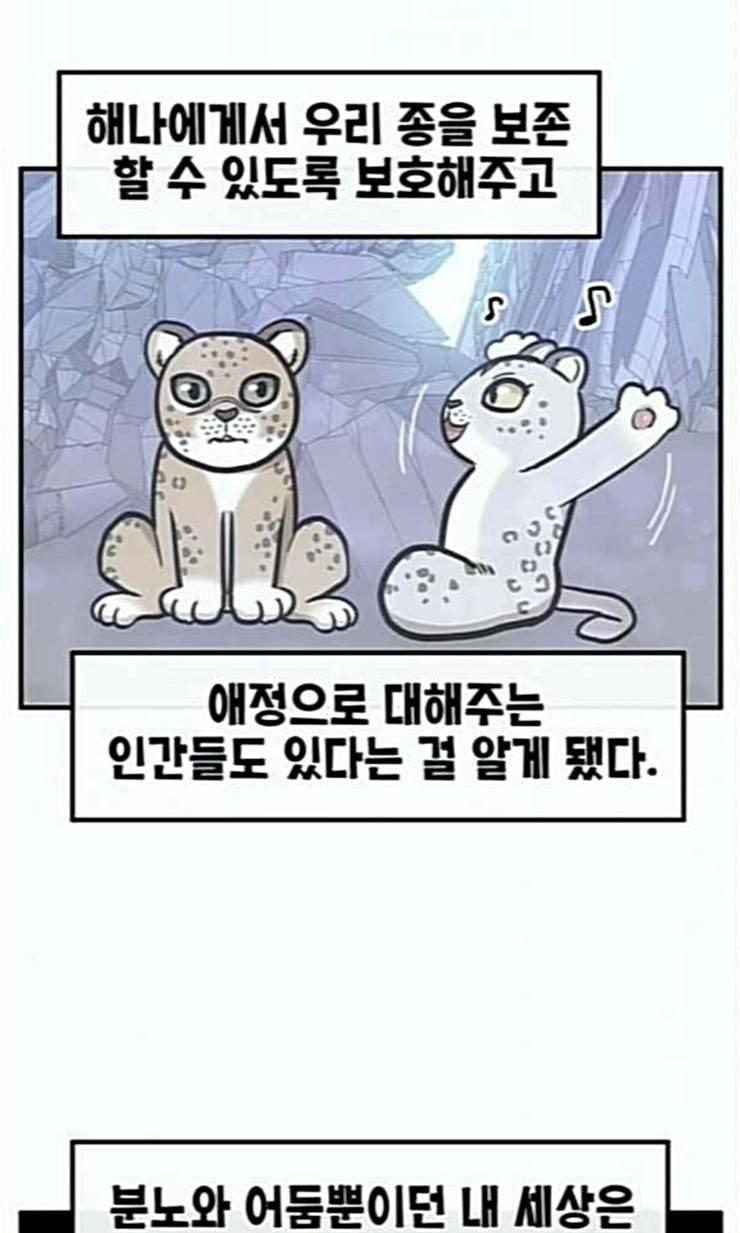 만물의 영장 43화 표범 탈출사건 2 39