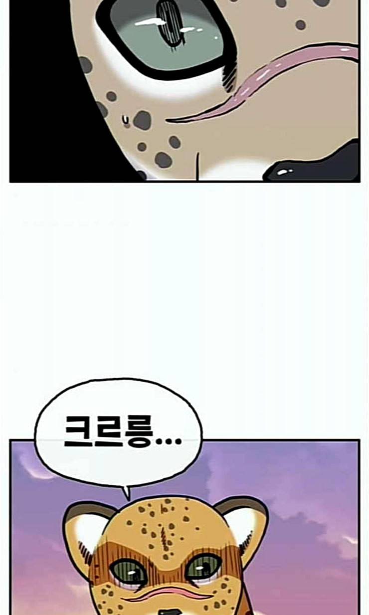 만물의 영장 43화 표범 탈출사건 2 48