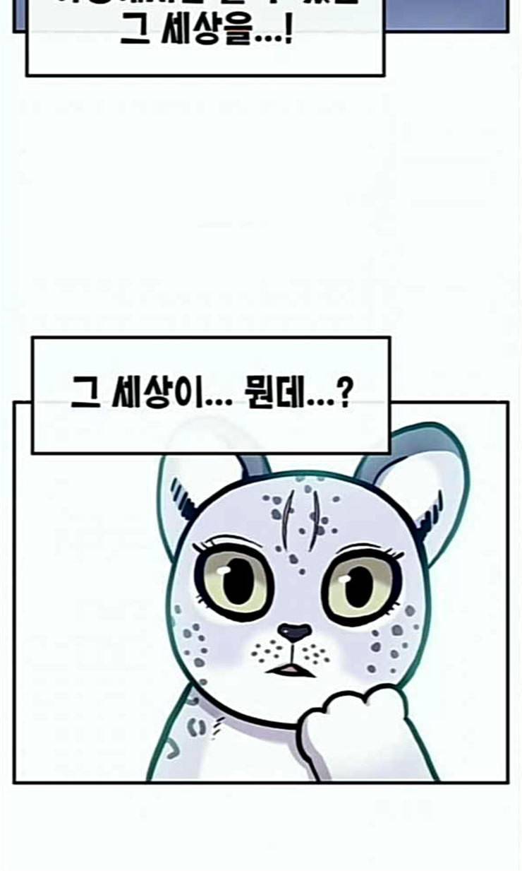 만물의 영장 43화 표범 탈출사건 2 52