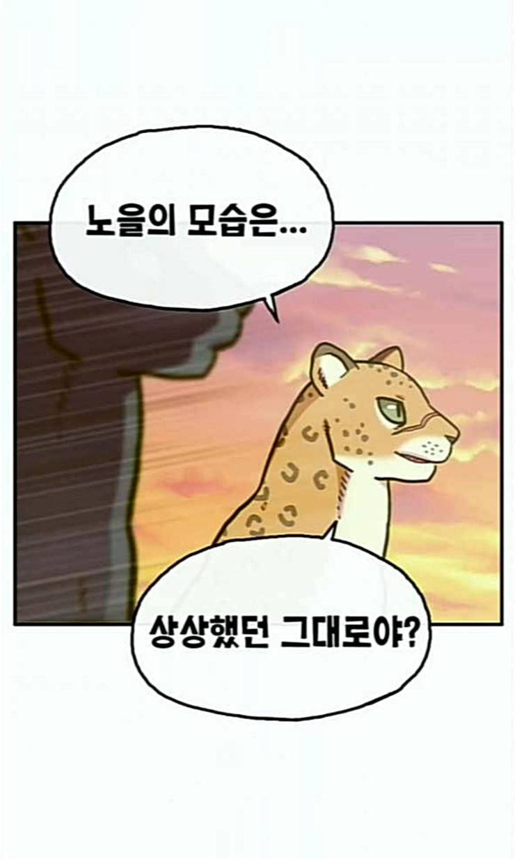 만물의 영장 43화 표범 탈출사건 2 58