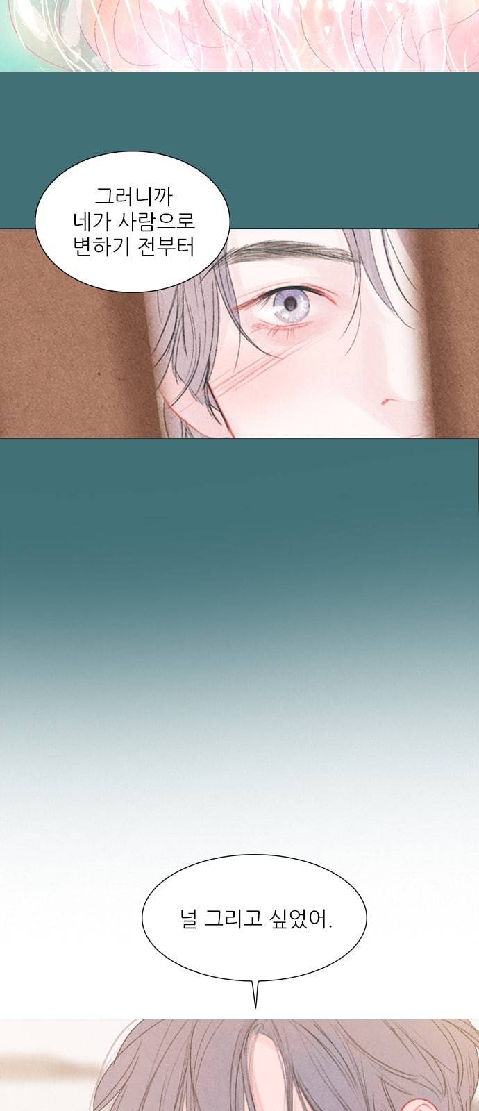신비 11화 3