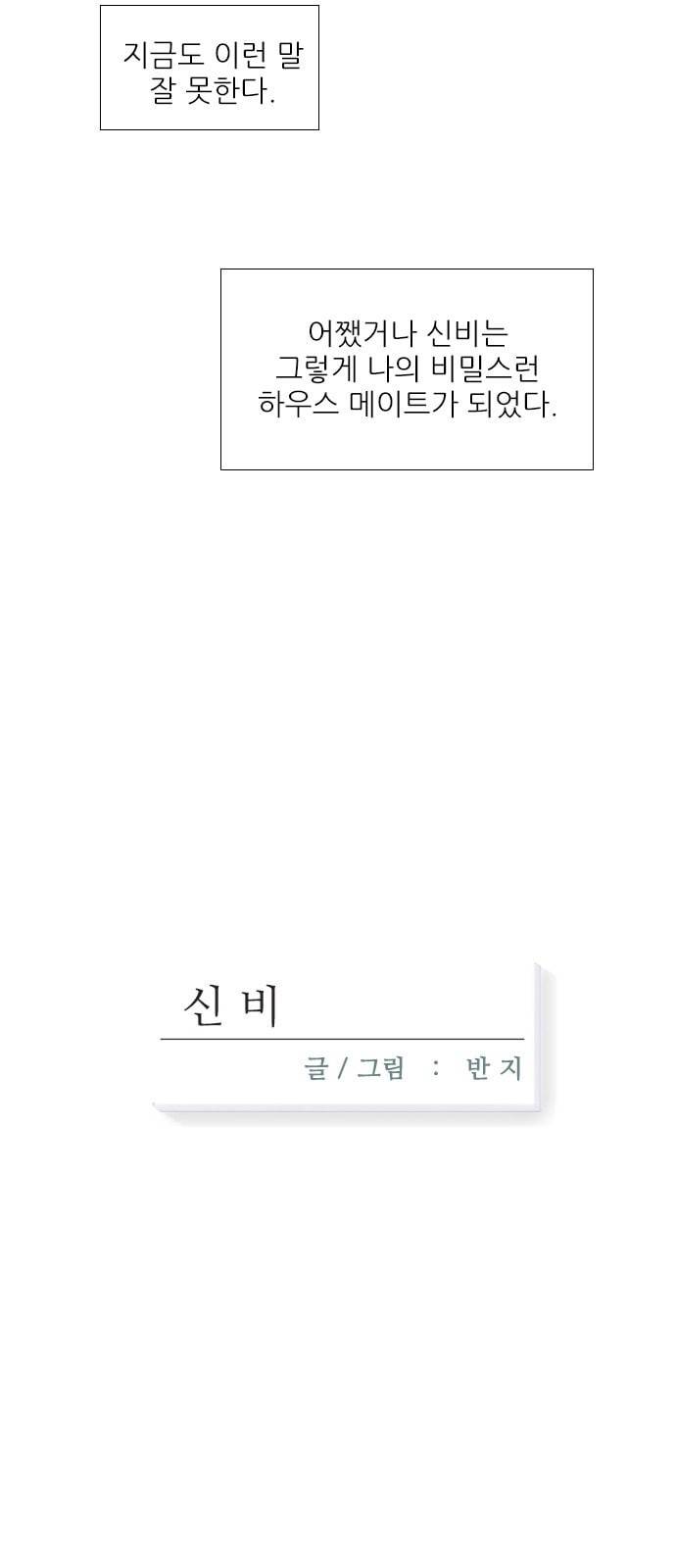 신비 11화 7
