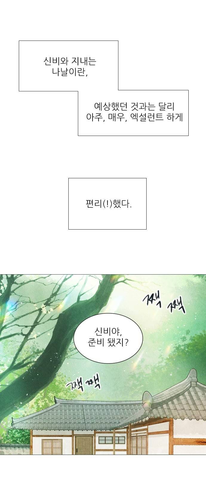 신비 11화 8