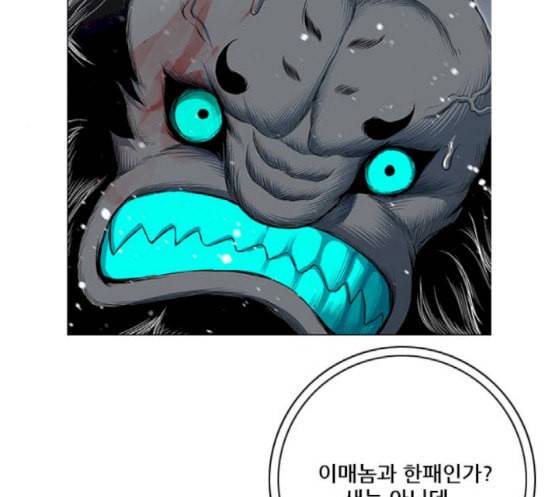 호랑이형님 2부 178화 히야와 니루어전 13