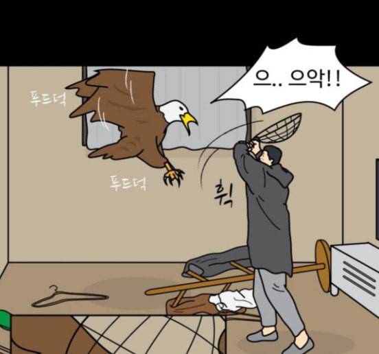 닭강정 39화 60