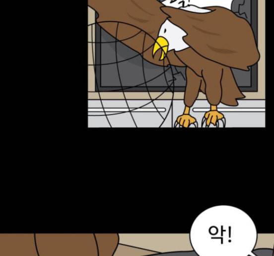 닭강정 39화 62