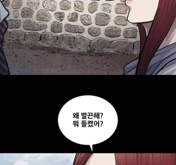 비질란테 111화 5