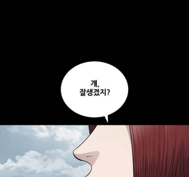 비질란테 111화 13