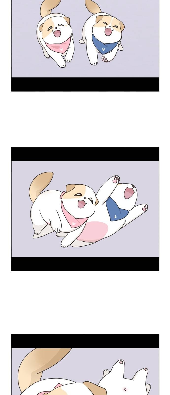 개를 낳았다 시즌2 4화 2