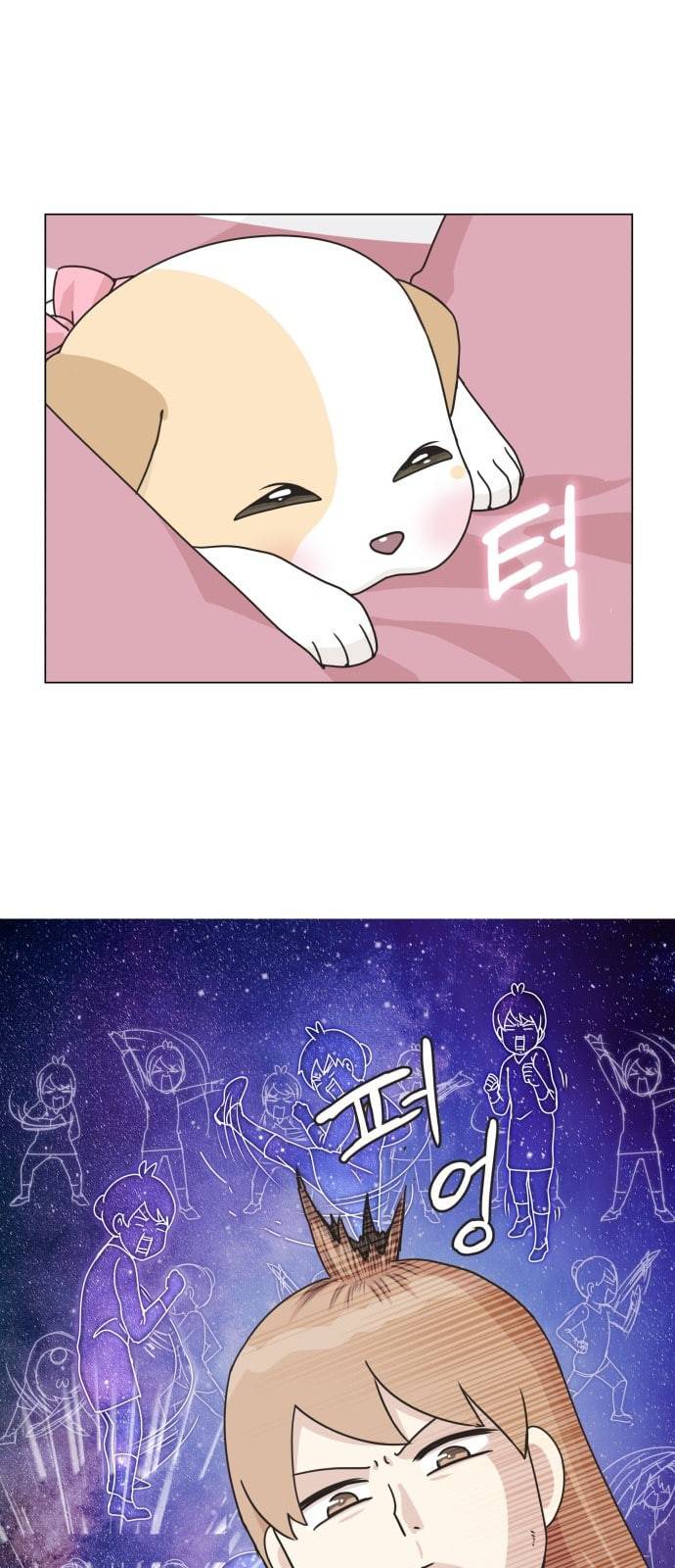 개를 낳았다 시즌2 4화 7