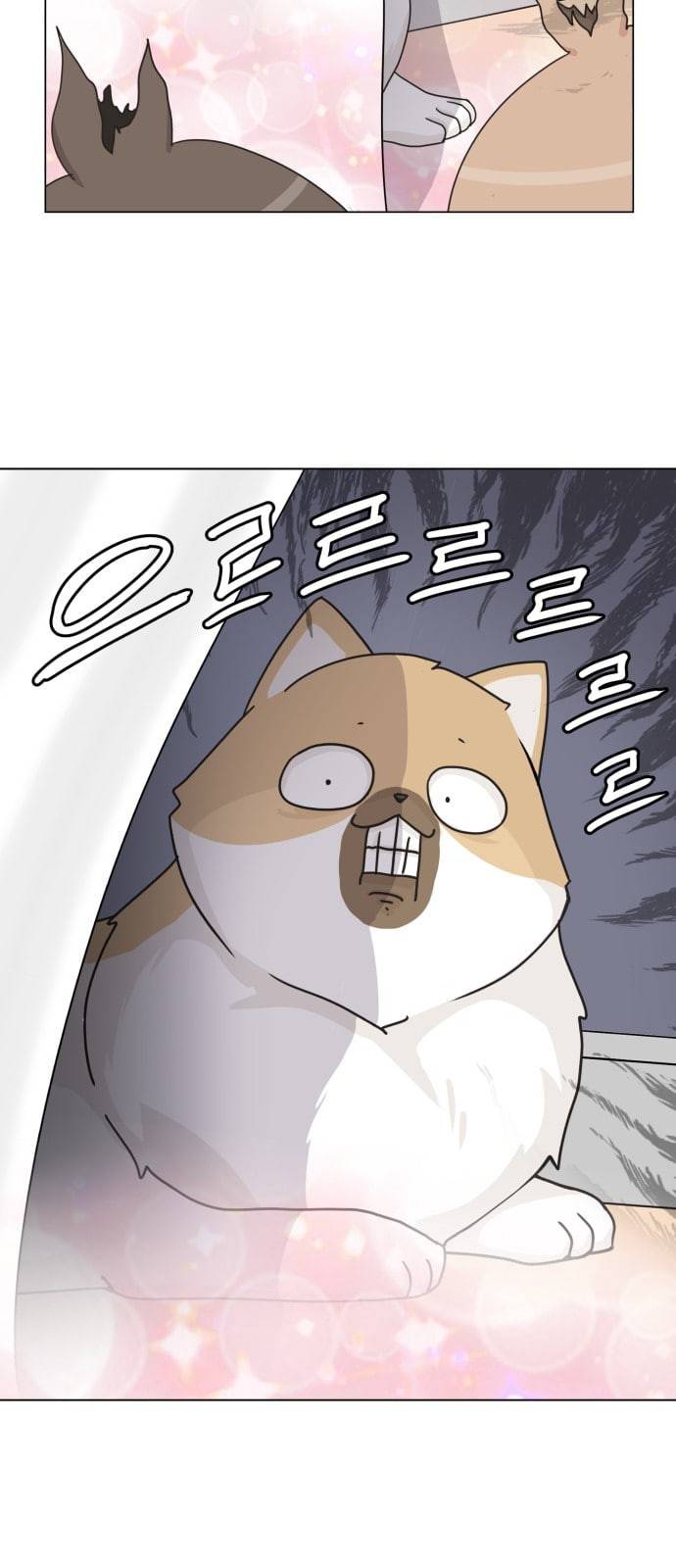 개를 낳았다 시즌2 4화 9