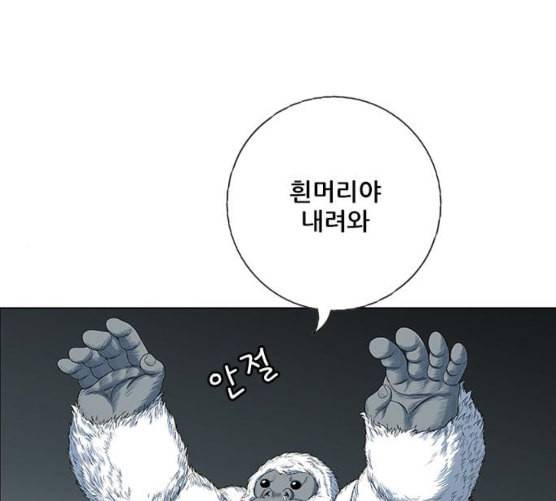 호랑이형님 2부 189화 깊은 곳에 홀로 18