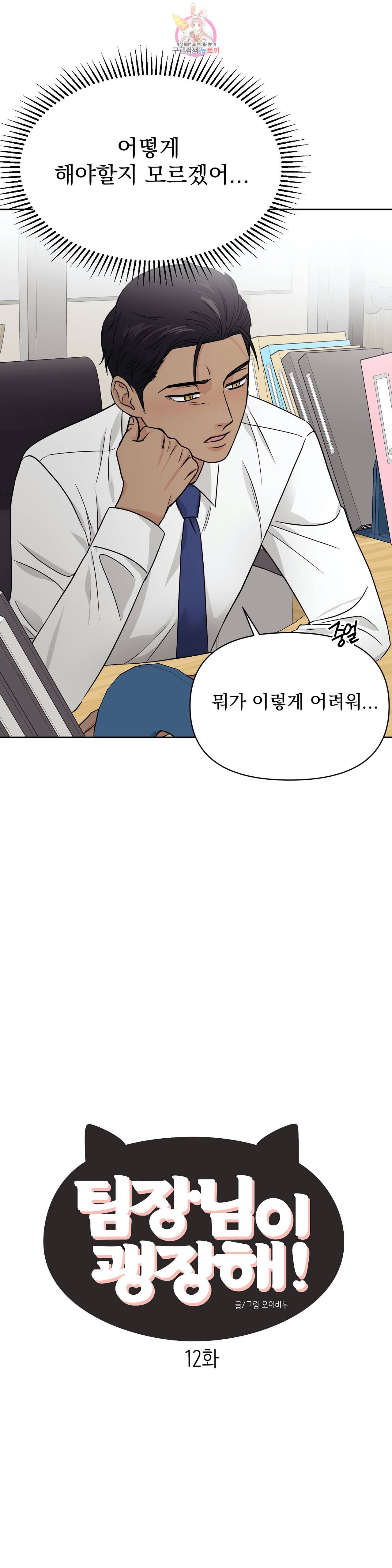 팀장님이 괭장해 12화 2