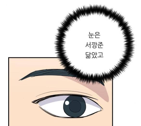 백수세끼 51 초밥 네이버 29
