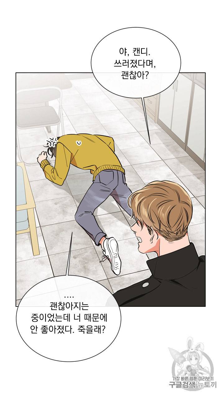 레드 캔디 41화 8