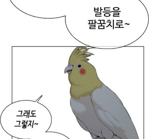 싸움독학 44화 20