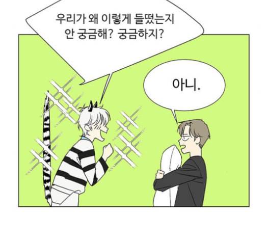 백호랑 23화 11