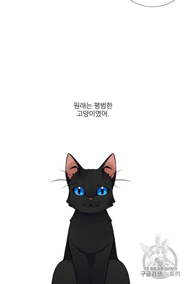 요리사가 축복을 숨김 37화 2