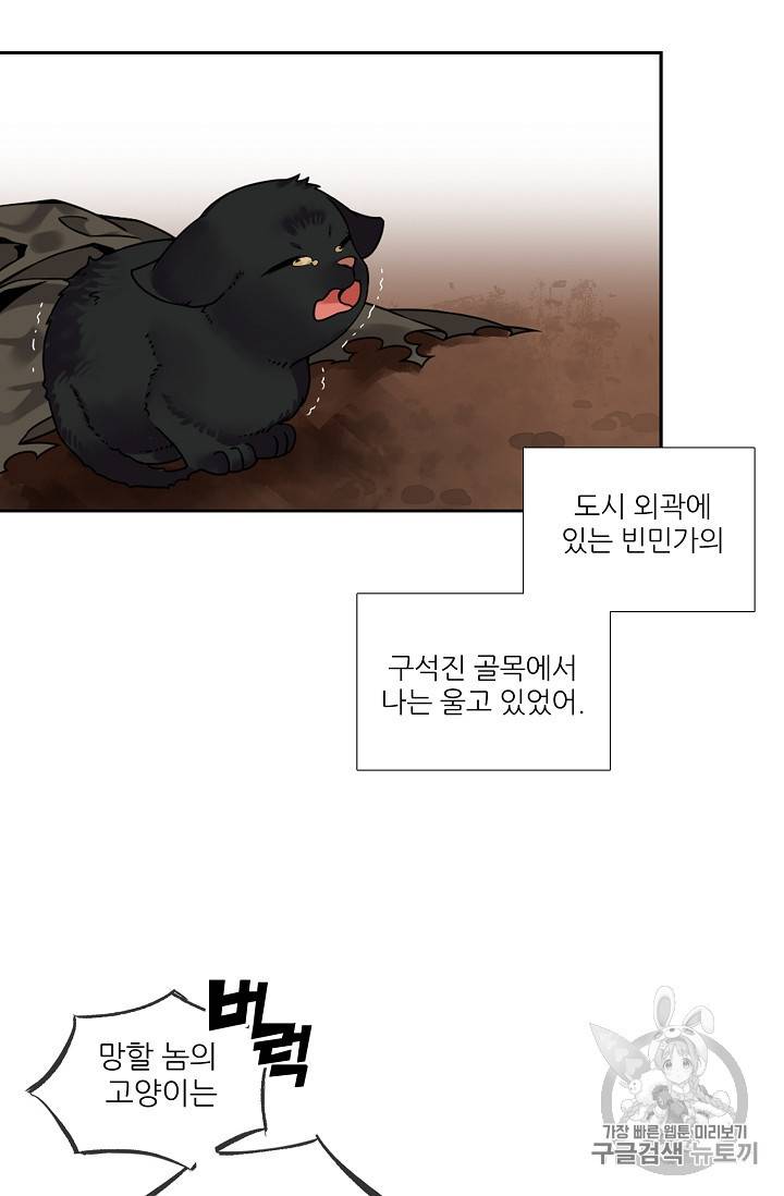 요리사가 축복을 숨김 37화 6
