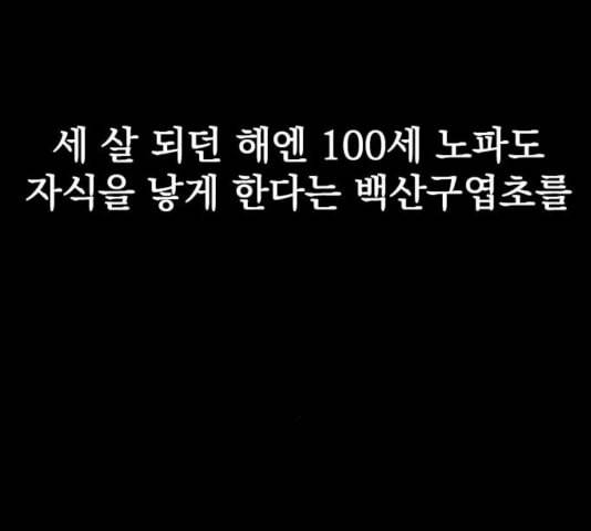 천하제일인 12화 63