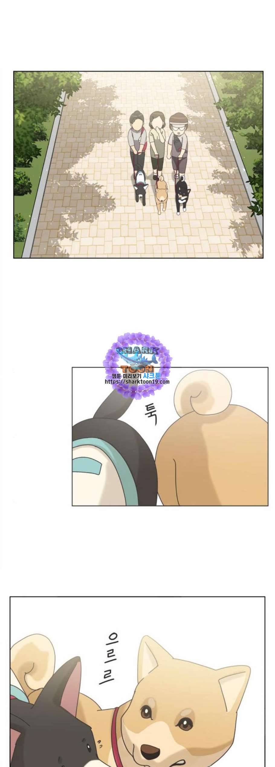 개를 낳았다 시즌2 29화 1