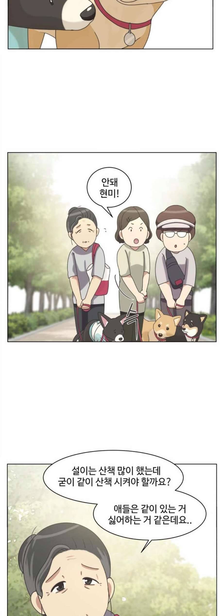 개를 낳았다 시즌2 29화 2