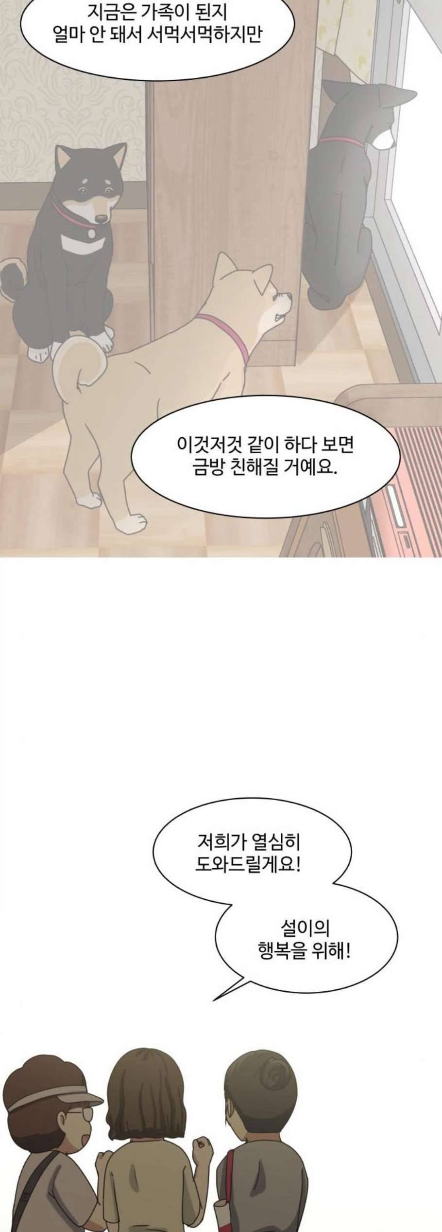 개를 낳았다 시즌2 29화 4