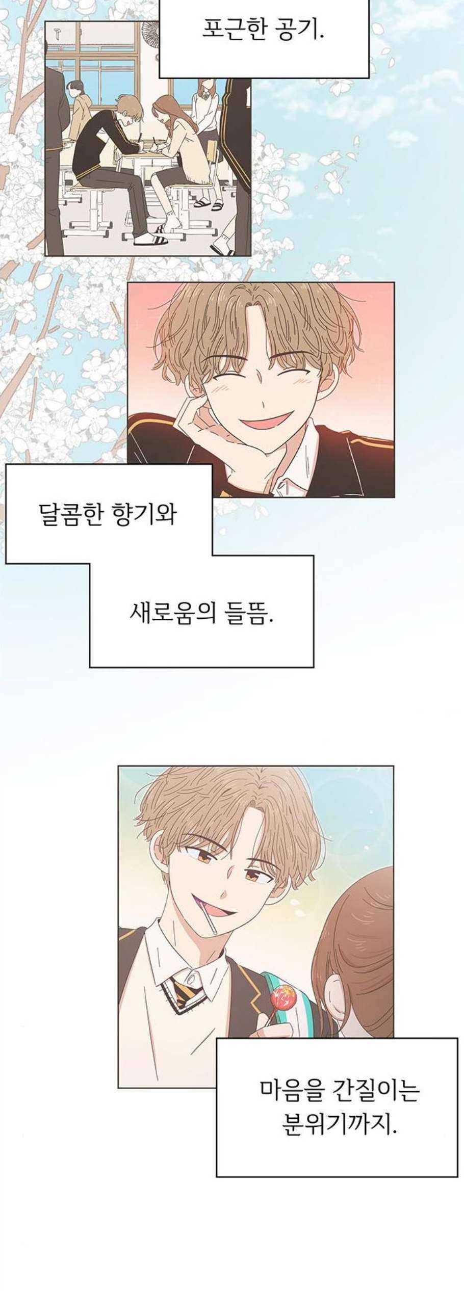 청춘 블라썸 26화 35