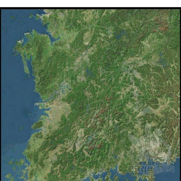 다른 세계에서 주워왔습니다 47화 48