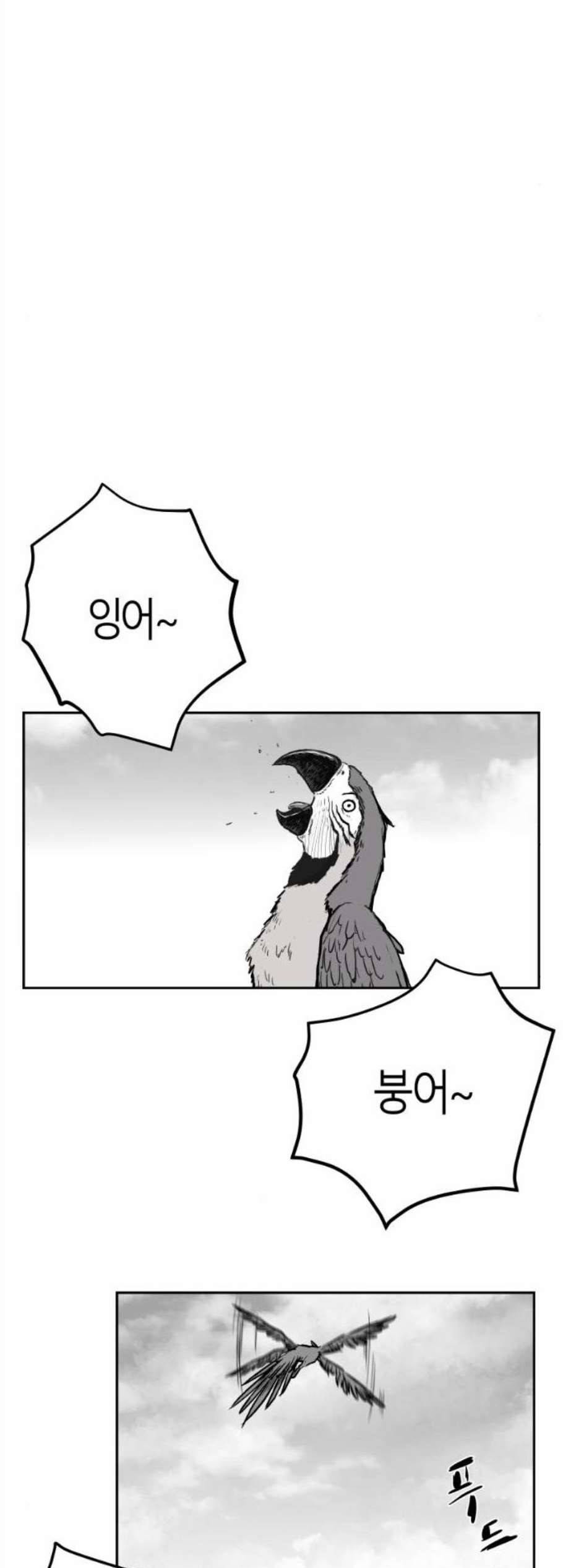 앵무살수 48화 6