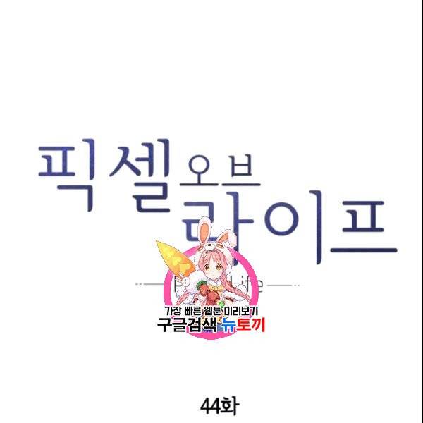 픽셀 오브 라이프 44화 1