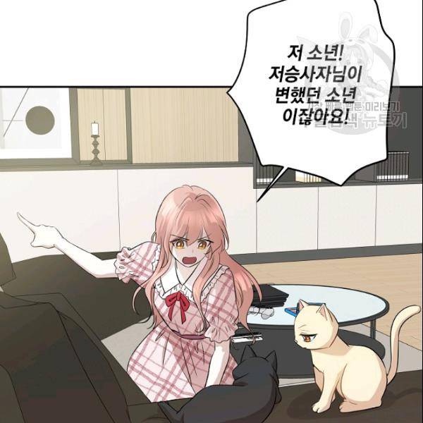 묘한 인생 67화 23