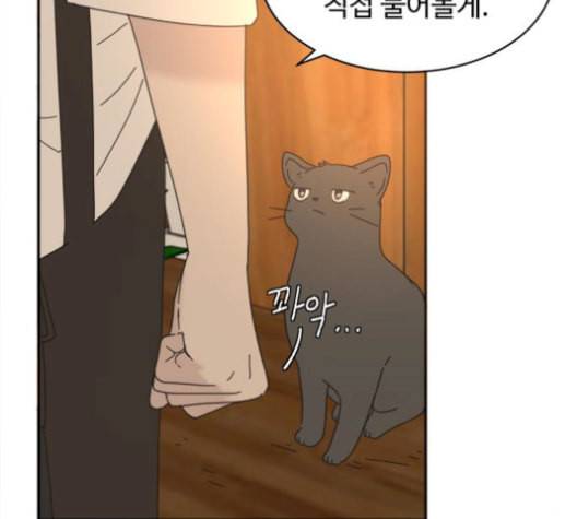 커피도둑 24화 18