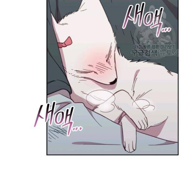접경지역의 동물병원 29화 24