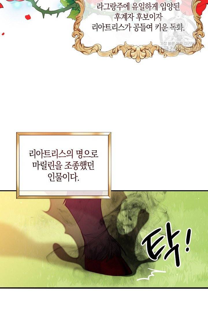악당 대공님의 귀하디귀한 여동생 24화 17