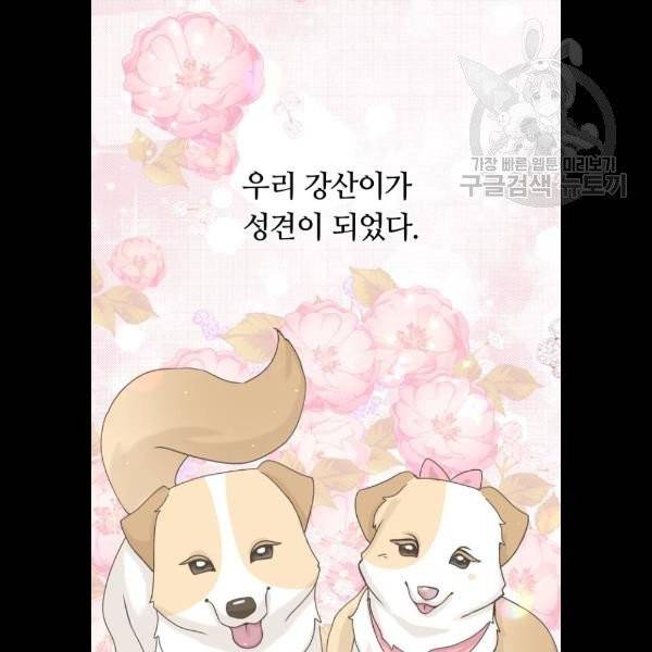 개를 낳았다 시즌2 44화 13