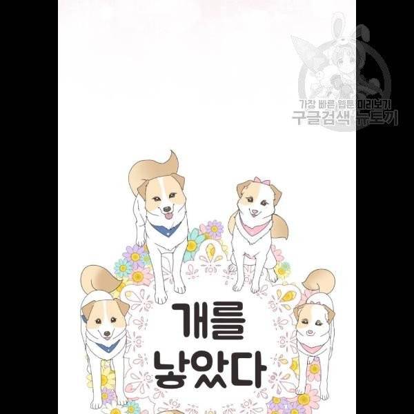개를 낳았다 시즌2 44화 15