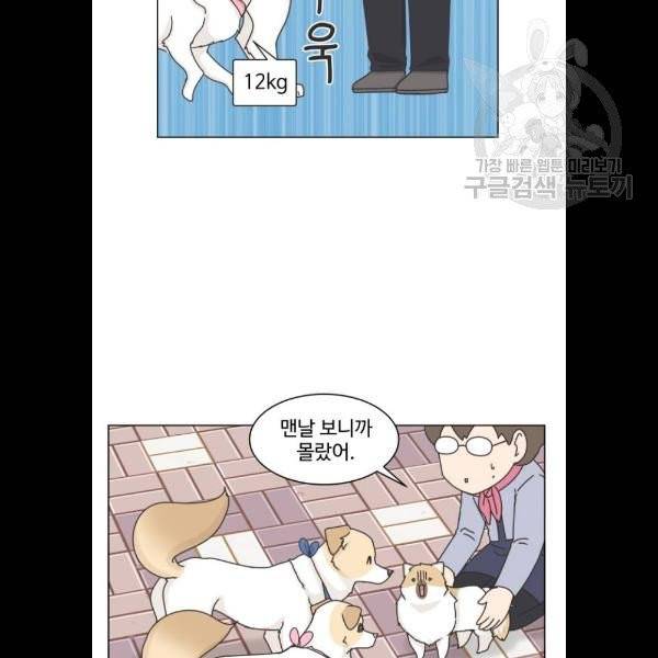 개를 낳았다 시즌2 44화 19