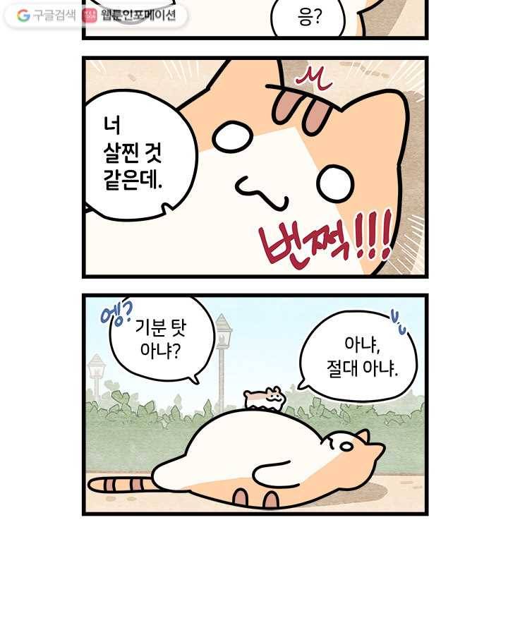 지구의 주인은 고양이다 26화 2