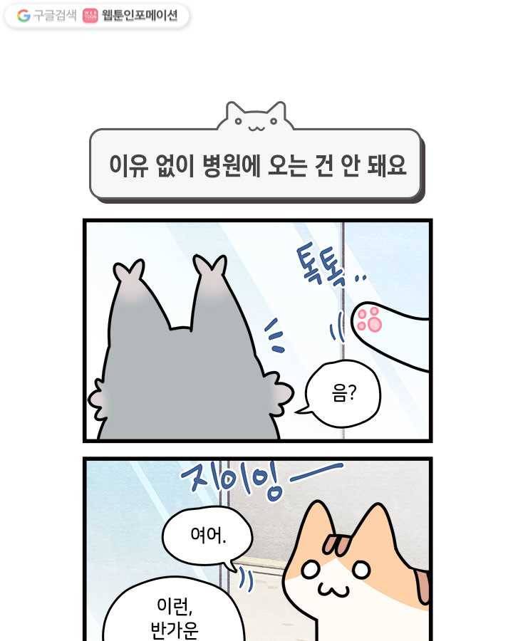 지구의 주인은 고양이다 46화 1