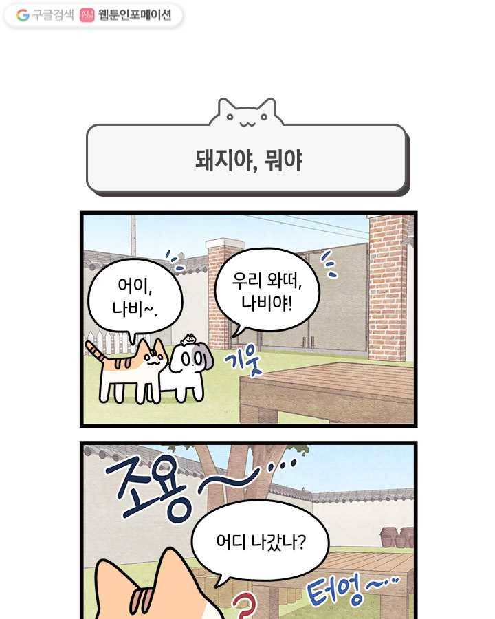 지구의 주인은 고양이다 95화 1